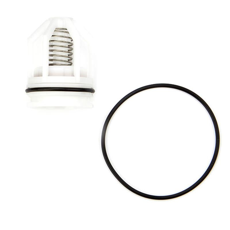 ARK 2000B CK4 1" 1st or 2nd Check Kit