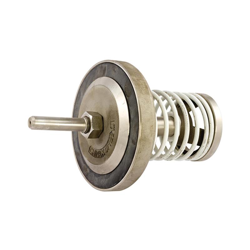 Check Assembly