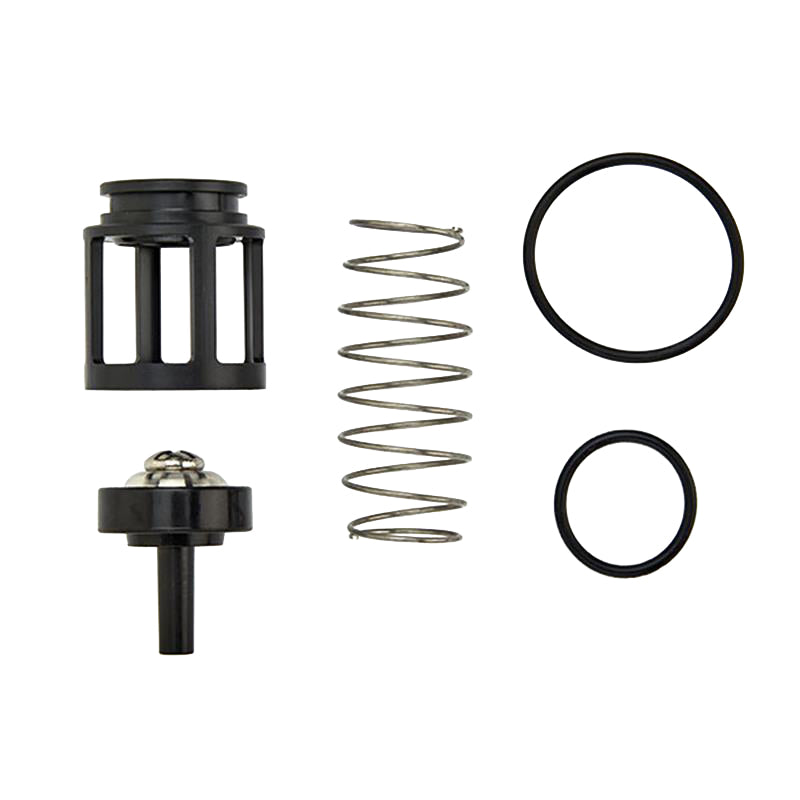 ARK 200B CK4 3/4" 1st or 2nd Check Kit