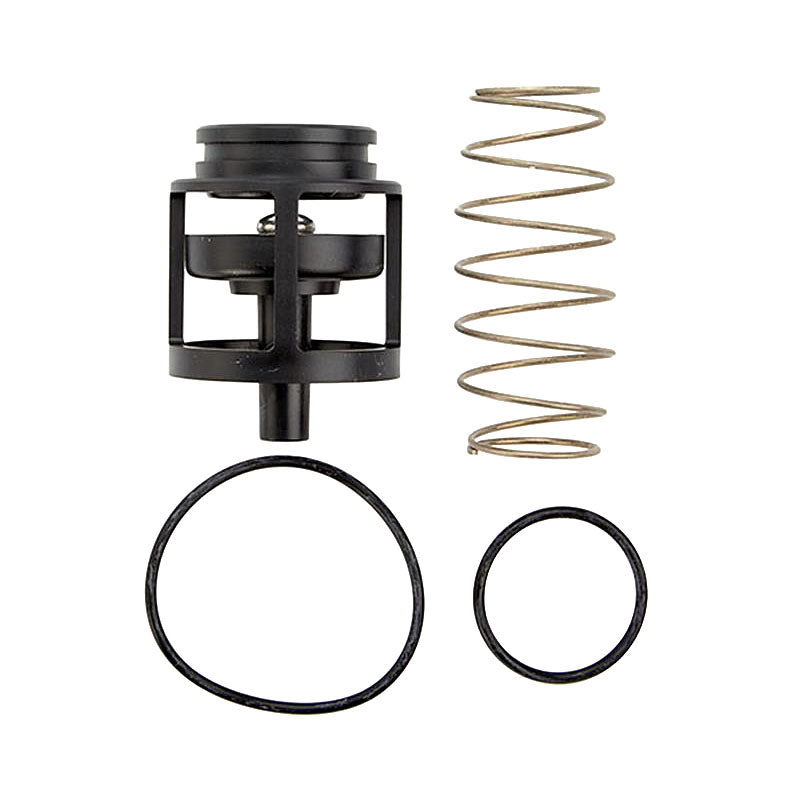 ARK 400B CK2 1" 2nd Check Kit