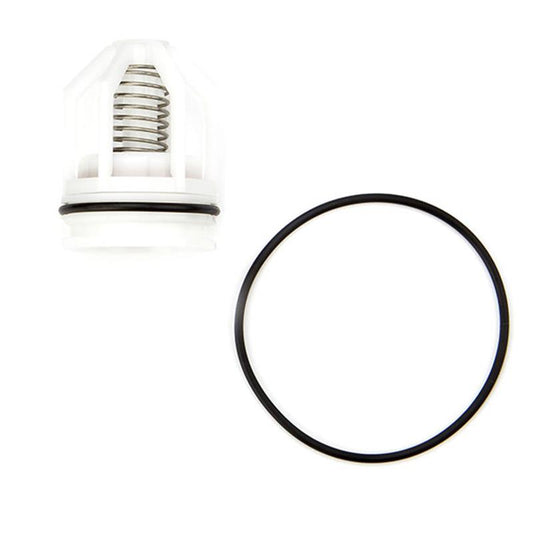 ARK 2000B CK4 1"  1st or 2nd Check Kit