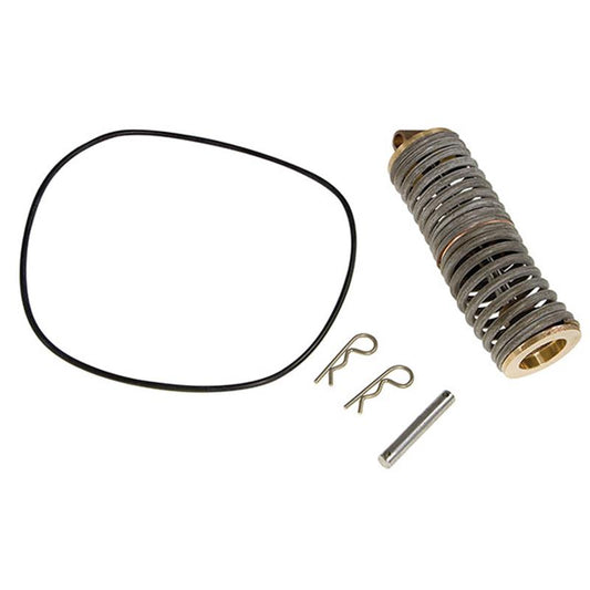 1st Check Spring Module