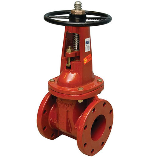 2 1/2" 408-OS&Y Epoxy Coated Gate Valve