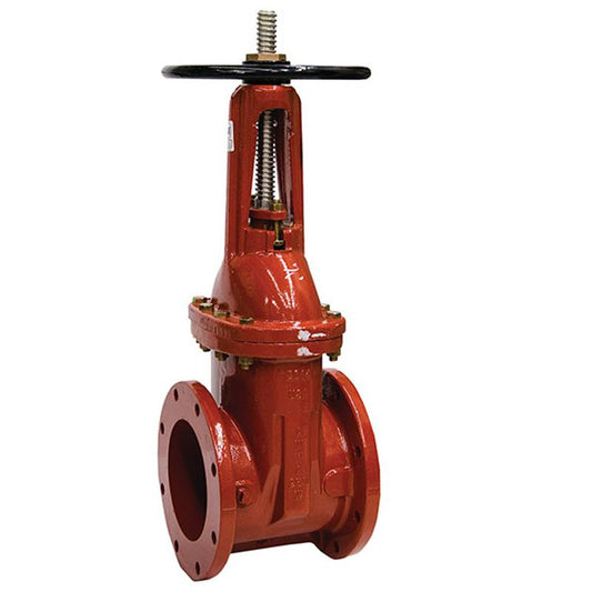 10" 408-OS&Y Epoxy Coated Gate Valve