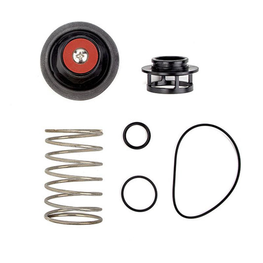 RK 919 VT 1 1/4 - 2" Relief Valve Repair Kit
