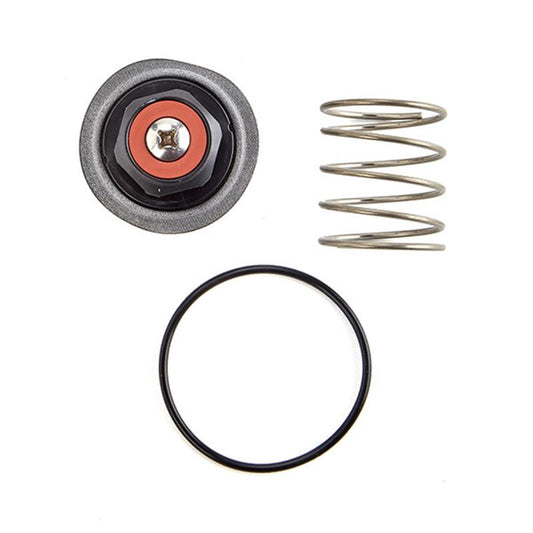 RK 919 VT 1/4 - 1/2" Relief Valve Repair Kit