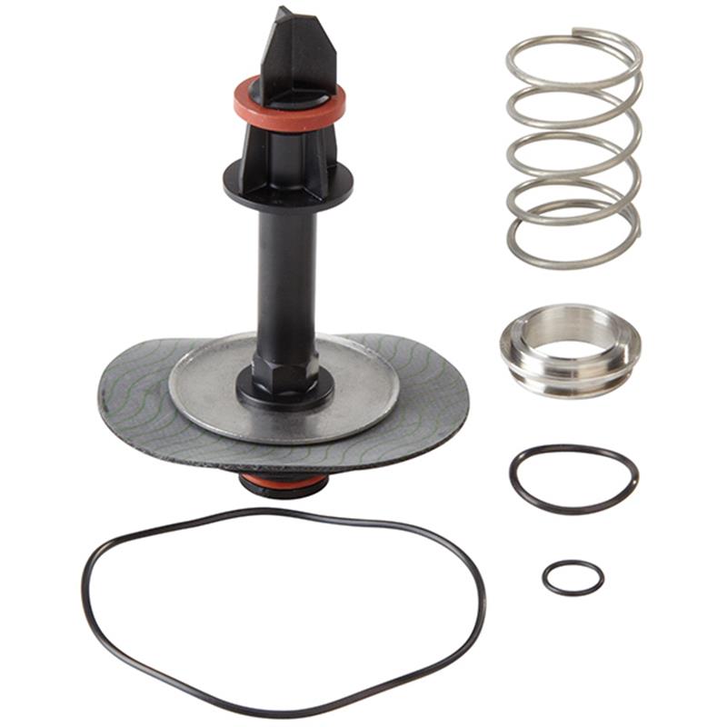 RK 009M2 VT 2"  Complete Relief Valve Kit