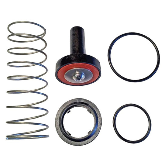 Single Check Repair Kit