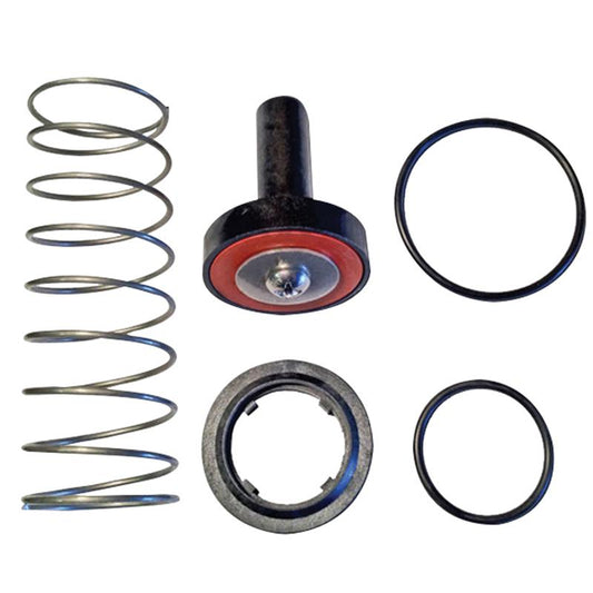 Single Check Repair Kit