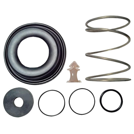 Relief Valve Rubbers and Spring Kit
