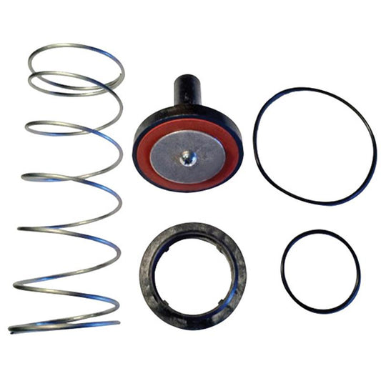 Single Check Repair Kit
