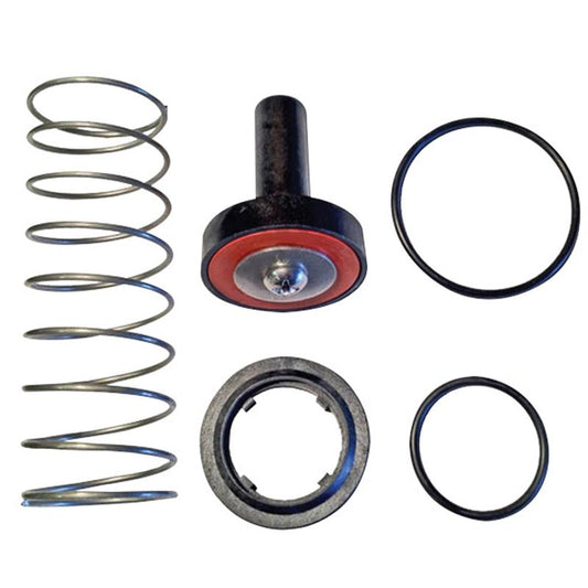Single Check Repair Kit