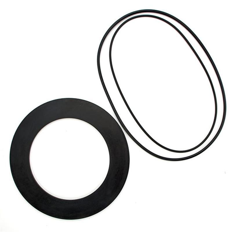 ARK 3000CIV RC4 10"  1st or 2nd Check Rubber Kit