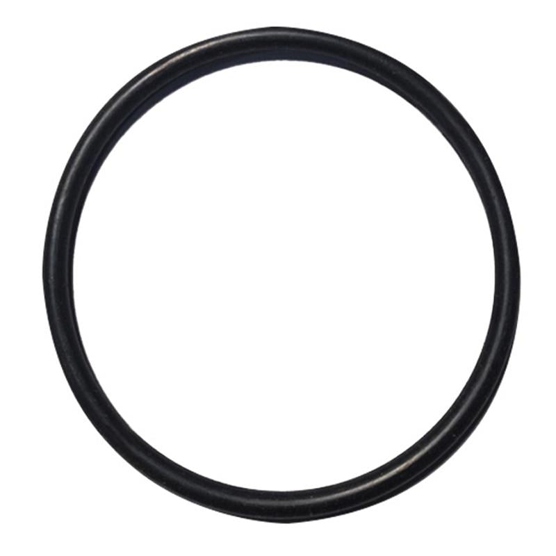 Check Retainer Cap O-Ring