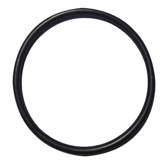Check Retainer Cap O-Ring