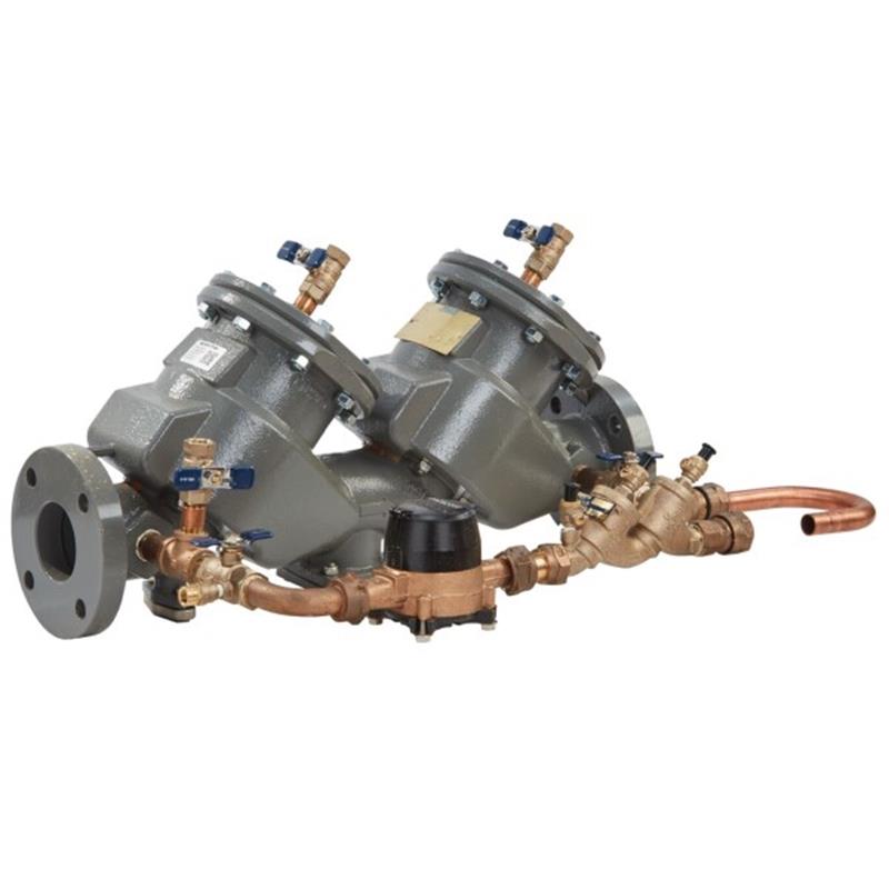 Febco 4" LF856 Less Gates