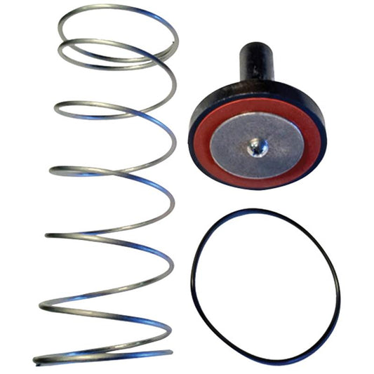 Single Check Repair Kit