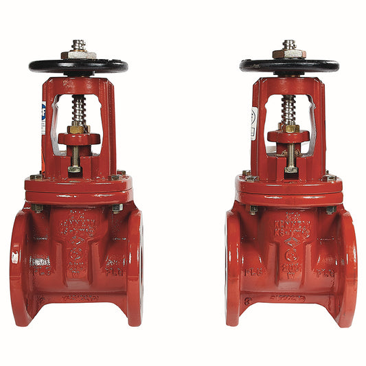 GATE VALVE PACK 21/2  OS
