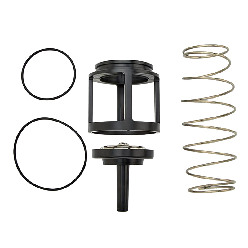 ARK 200B CK4 2"  1st or 2nd Check Kit
