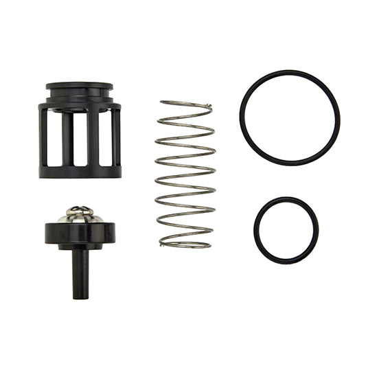 ARK 200B CK4 3/4"  1st or 2nd Check Kit