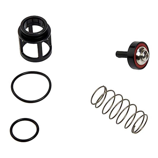 RK 719 CK4 3/4"  1st or 2nd Check Kit