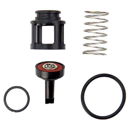 ARK 200B CK4 1/2"  1st or 2nd Check Kit