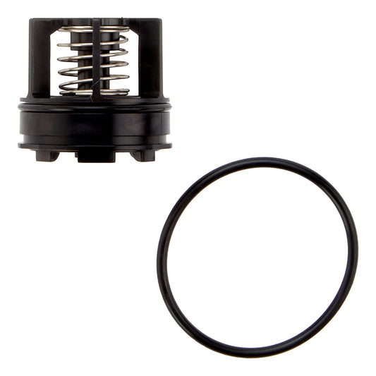 ARK 2000BM3 CK2 3/4"  2nd Check Kit