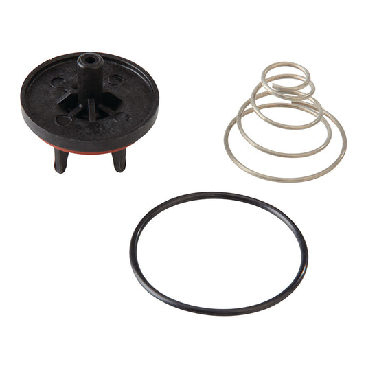 RK 800M2 CK 1 1/4 - 2"  Check Kit