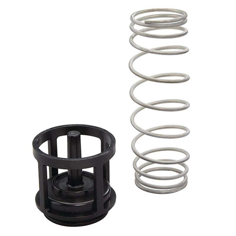 RK 919 CK1 2"  1st Check Kit