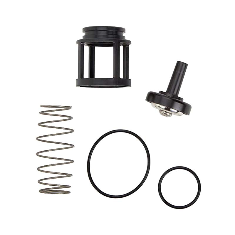 RK 719 CK4 1"  1st or 2nd Check Kit