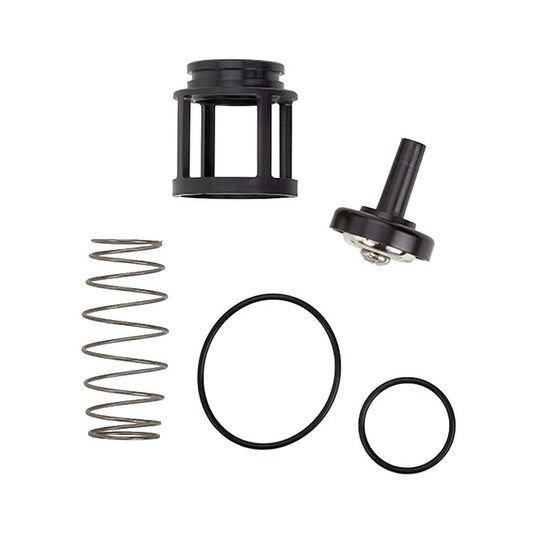 RK 719 CK4 1"  1st or 2nd Check Kit