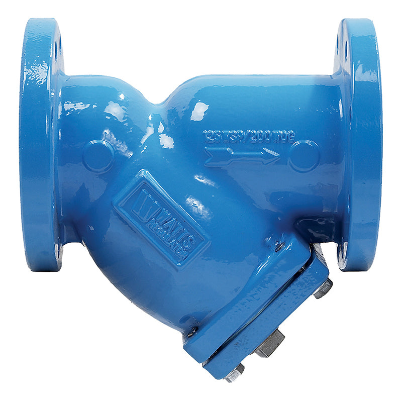 Watts® 2" 77F-DI-FDA-125 Wye Pattern Strainer, Flange Tapped Reatiner Cap, Closure Plug, Epoxy Coated