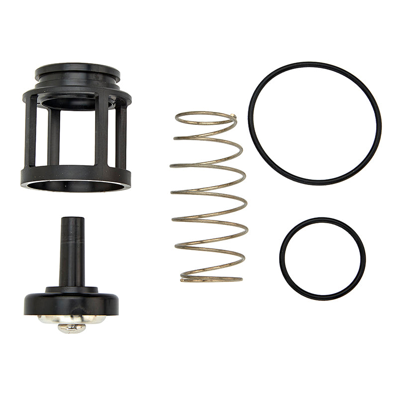 Ames® ARK 200B-R10-CK4 1/2" - 3/4" 1st or 2nd Check Repair Kit