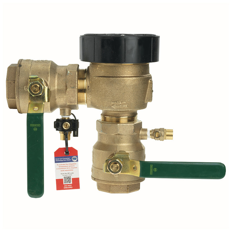 Watts® 2" 800M4-QT-FZ Anti-Siphon Pressure Vacuum Breaker, Quarter Turn Shutoff, Lever Handles, Freeze Sensor