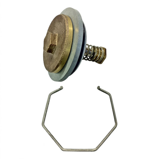 Watts 2 1/2" - 3" Flomatic DCV 1st Check Assembly