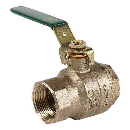Watts 1 1/4" LF-FBV-E
