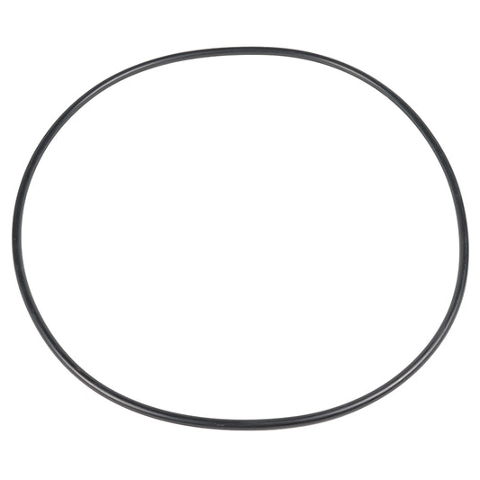 Watts 10" Cover O-Ring